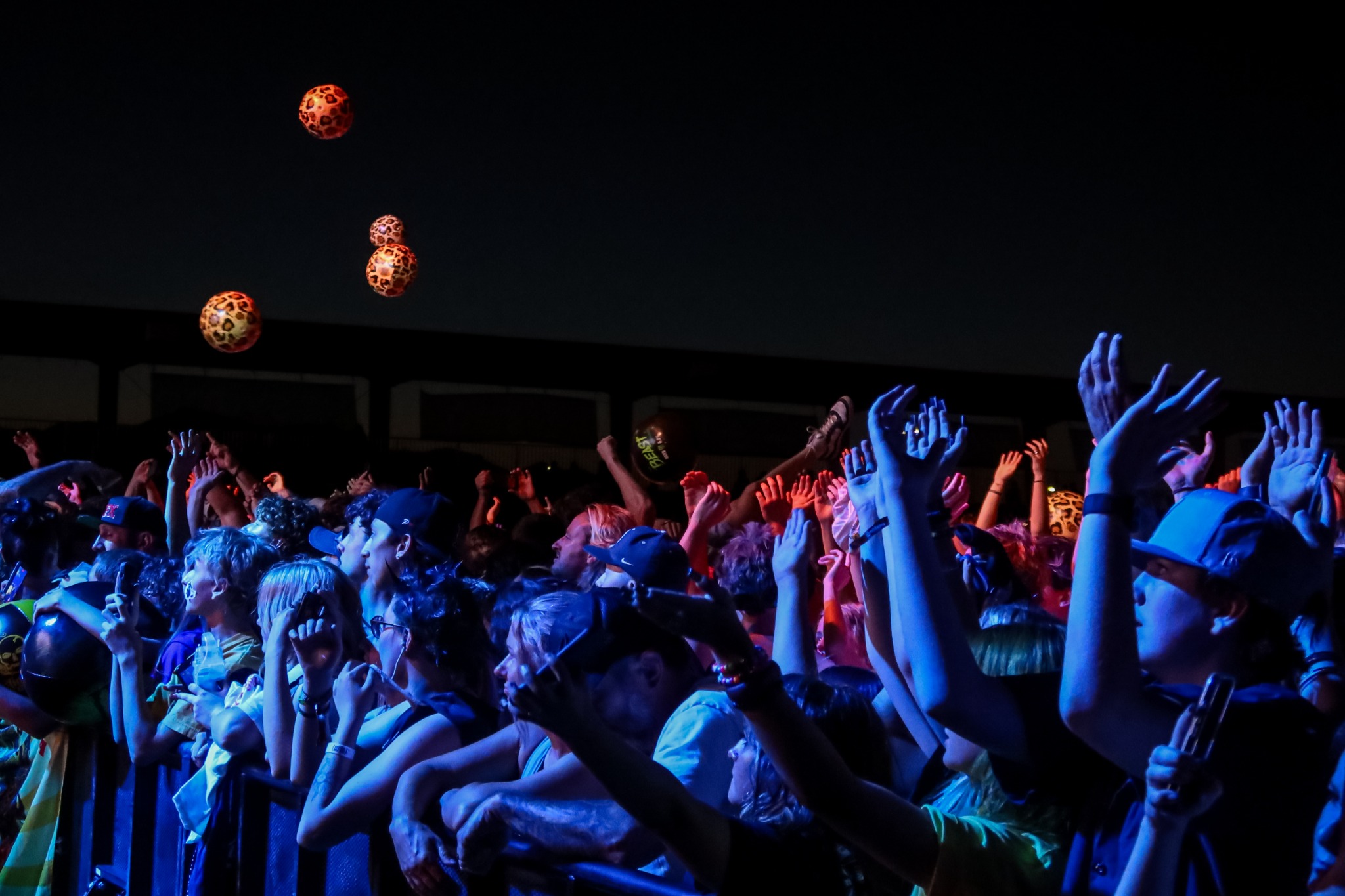 Crowd reaching toward the stage at Sublime Fest